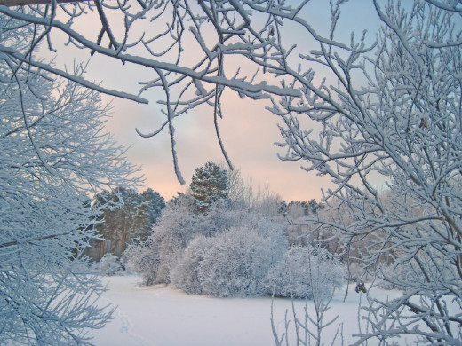 694137 (a): :2560x1920